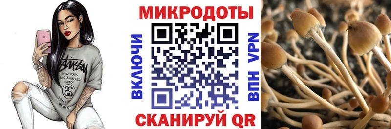 Псилоцибиновые грибы Psilocybe  купить наркоту  Сатка 